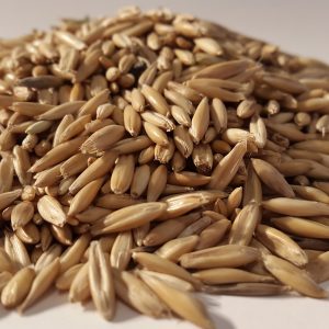 Organic Rye Berries